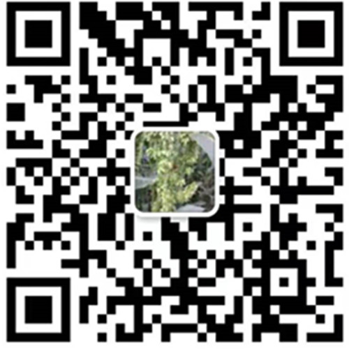 扫一扫，访问本站